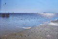 Tropical sea, mangrove beach and sunny sky. Royalty Free Stock Photo