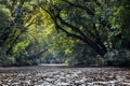 Scenic nature view of Tahan River with lush rainforest foliage at Taman Negara National Park, Pahang Royalty Free Stock Photo