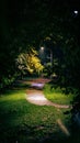 Scenic nighttime pathway winds through a mysterious forest park, illuminated by lights