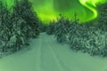Scenic northern green lights over young pine tree forest decorated by fresh snow. Forest road with traces off road vehicle. Aurora