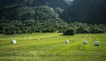 Scenic Norwegian Mountain Farmland
