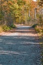 Scenic Old Forest Road Against Autumn Scenery in Polesye natural Resort