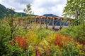 Scenic old wooden bridge in fall Northern nature