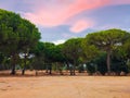 Scenic outdoor shot of a sunset sky over the trees in Little Lagoon, Sesimbra, Portugal