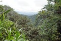 Scenic outlook point in the Cotacachi Cayapas Ecological Reserve Royalty Free Stock Photo