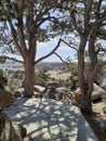 Scenic overlook Curt Gowdy State Park Royalty Free Stock Photo