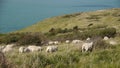 Scenic overview near Calais, France