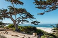 Scenic pacific coast at the Big Sur Highway No 1 in California