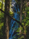 Scenic Pacific Northwest waterfall with trees in the foreground