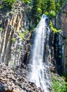 Scenic Palisade Falls flowing over steep cliff in a lush Montana forest