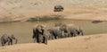 Scenic panorama of african elephants, buffalo, hippo, bird gathering together sharing space at a waterhole