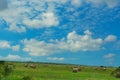 Scenic panorama with hay bales Royalty Free Stock Photo