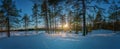 Scenic panorama Sunset in Scandinavian winter pine tree forest, calm weather, sun beams shine above tree tops. Very fresh snow Royalty Free Stock Photo