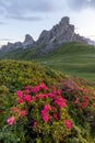 Scenic panorama view on Passo Giau in Dolomites national park, Italy