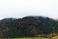 Deciduous and coniferous forest on the hill disappears in the autumn fog and clouds. Royalty Free Stock Photo
