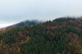 Deciduous and coniferous forest on the hill disappears in the autumn fog and clouds. Royalty Free Stock Photo