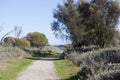 Scenic Panorama from the walkpath along the Leschenault Estuary Bunbury Western Australia .