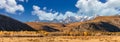 Scenic panoramic low angle view of a valley full of golden trees. Snowy mountain peaks of North Chuyskiy ridge in the background. Royalty Free Stock Photo