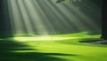 Scenic panoramic view of golf course with lush green turf, beautiful scenery and landscape