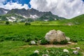 Scenic panoramic view of idyllic rolling hills landscape with blooming meadows and snowcapped alpine mountain peaks in