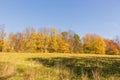 Scenic panoramic view of idyllic rolling hills landscape with blooming meadows and snowcapped alpine mountain peaks in the Royalty Free Stock Photo