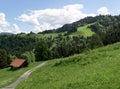 Scenic panoramic view of idyllic rolling hills landscape with mountain meadows.