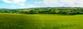 Scenic panoramic view of rolling countryside green farm fields with sheep, cow and green tries in New Grange, County Meath