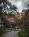 Scenic park in Manchester captured during autumn with fallen leaves and grey sky