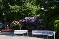 Scenic Park in the Resort of Bad Harzburg, Lower Saxony Royalty Free Stock Photo