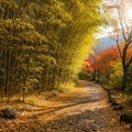 A scenic pathway enveloped by tall bamboo (Phyllostachys species) on the left, with Royalty Free Stock Photo