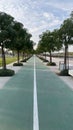 Scenic pathway with lush trees on both sides and smaller saplings to the side in Abu Dhabi