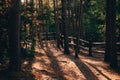 Scenic pathway meanders through a lush forest with a rustic wooden fence Royalty Free Stock Photo