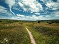 Scenic pathway winding along a grassy field. Dolly Sods, West Virginia. Royalty Free Stock Photo