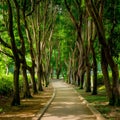 Scenic pathways meander through Thailands serene public parks