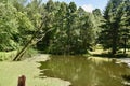 Scenic Pennsylvania farm pond