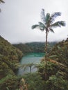 Scenic photo of a tropical rainforest lake in the Philippines.