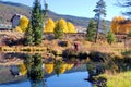 Scenic Photographer in Colorado Fall Royalty Free Stock Photo