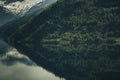 Scenic picture of sea and forest in Norway