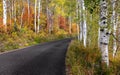 Scenic Pine canyon drive in Wasatch mountain state park, Utah