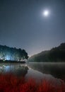 Scenic pine forest light shine with the moon on reservoir at night