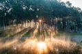 Scenic pine forest light shine on reservoir at pang oung