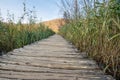 Scenic Plitvice lakes national park in Croatia