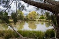 Scenic pond