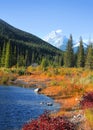 Scenic pond landscape along Kananaskis trail Royalty Free Stock Photo