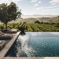 Scenic Pool Overlooking Rolling Hills and Vineyards Royalty Free Stock Photo