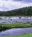 Scenic pykara waterfalls surrounded by wilderness, located on the foothills of nilgiri mountains near ooty in tamilnadu