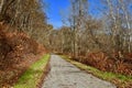 Scenic rail-to-trail pathway in Western Pennsylvania.