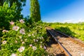 Scenic railroad in remote rural area