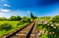 Scenic railroad in remote rural area