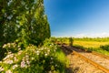 Scenic railroad in remote rural area